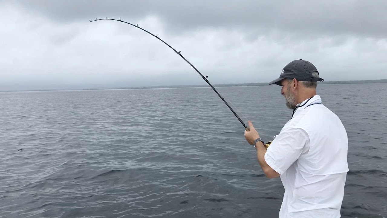 Fishing St. Marks 6.10.20 - YouTube
