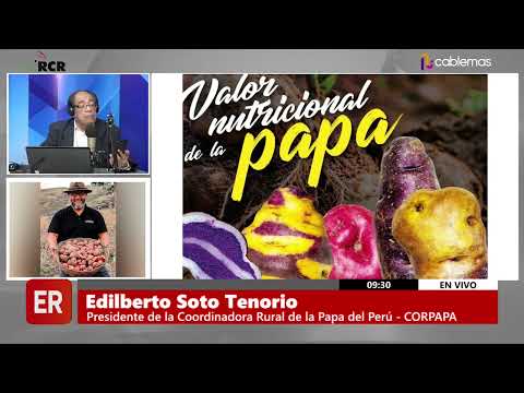 A PESAR DE QUE SOMOS GRANDES PRODUCTORES DE PAPA, EL CONSUMO INTERNO SE HA ESTANCADO
