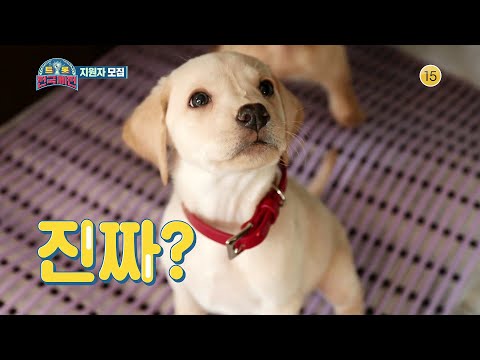 ★트로트는 훌륭하다★<strong>전국</strong> 보호자님들 주목! 꿀성대 보호자님들~ 지원해 주세요! [트롯 <strong>전국체전</strong>]