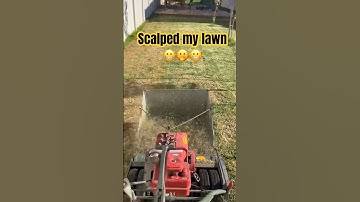 Scalped my lawn, leveling using sand #lawn #diy