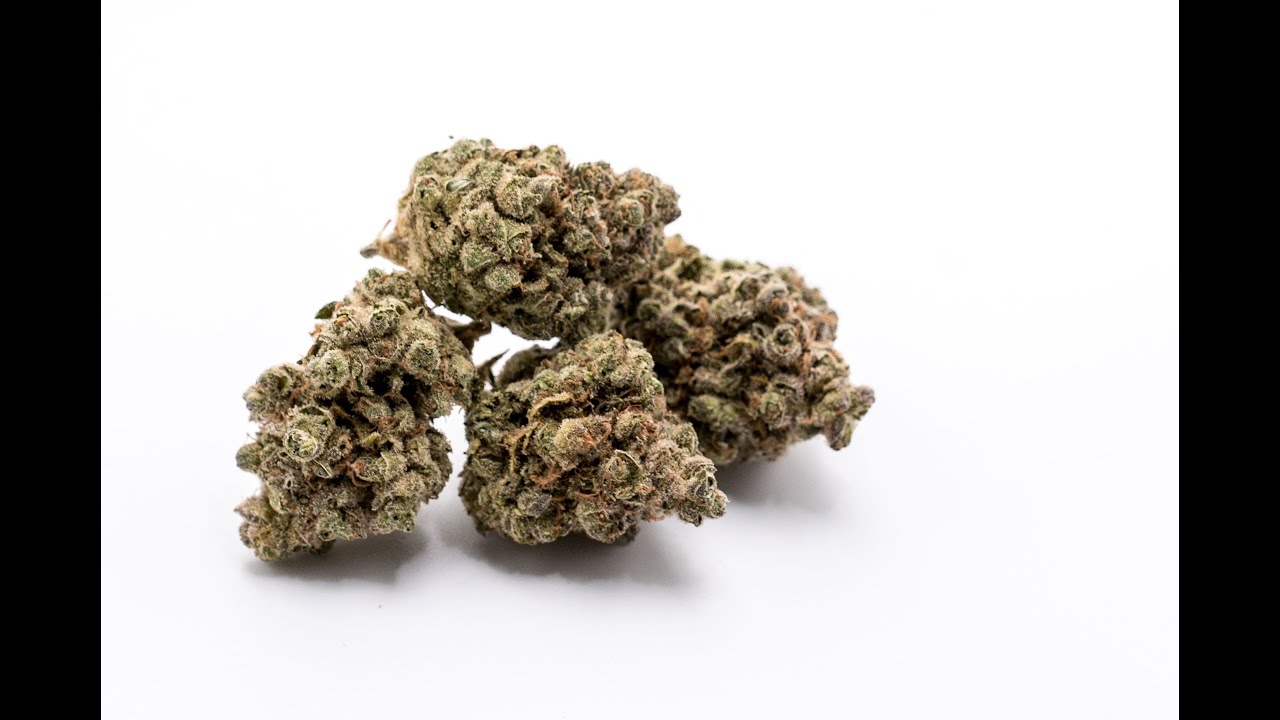 UK Cheese Strain Review Featuring Cloud Cover