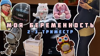 Моя первая беременность (2 и 3 триместр)