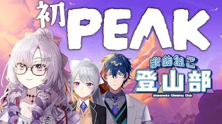 壱百満天原サロメ(ひゃくまんてんばらさろめ)の配信のサムネイル画像