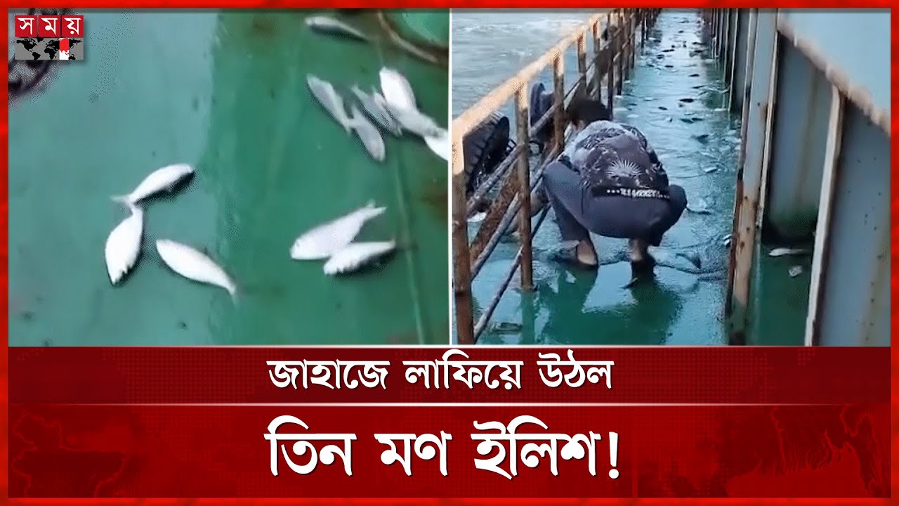 চলন্ত জাহাজে ইলিশের লাফ, নাবিকদের ক্যামেরায় বিরল দৃশ্য | Ship | Ilish Fish | Bay Of Bengal | SomoyTV