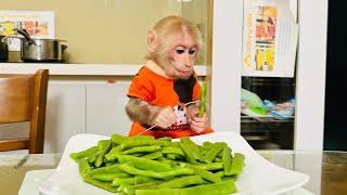 Monkey Bibi helps dad cook! Bibi's simple but healthy meal!