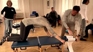 Advanced Chiropractic - Full Spine HIO