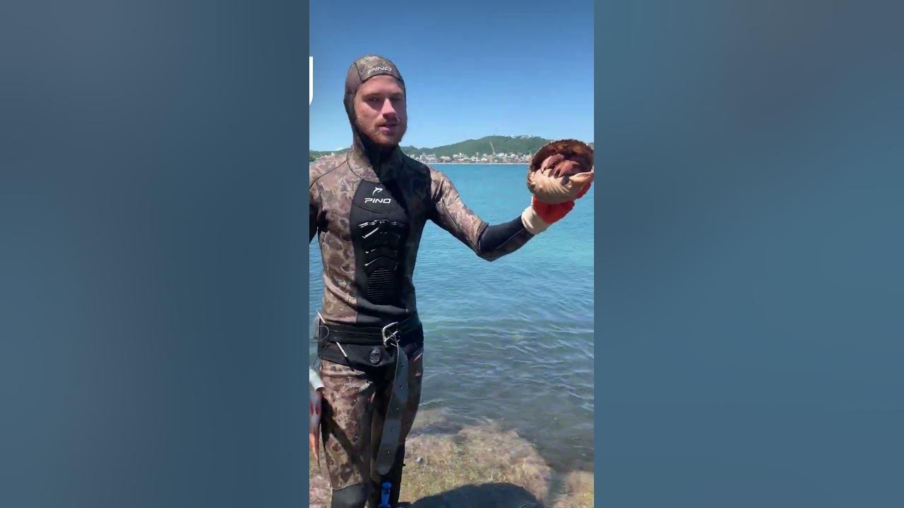 Fin. Дон фин. Фин и джейк арт. Rytr джейк финн. Дон фин.