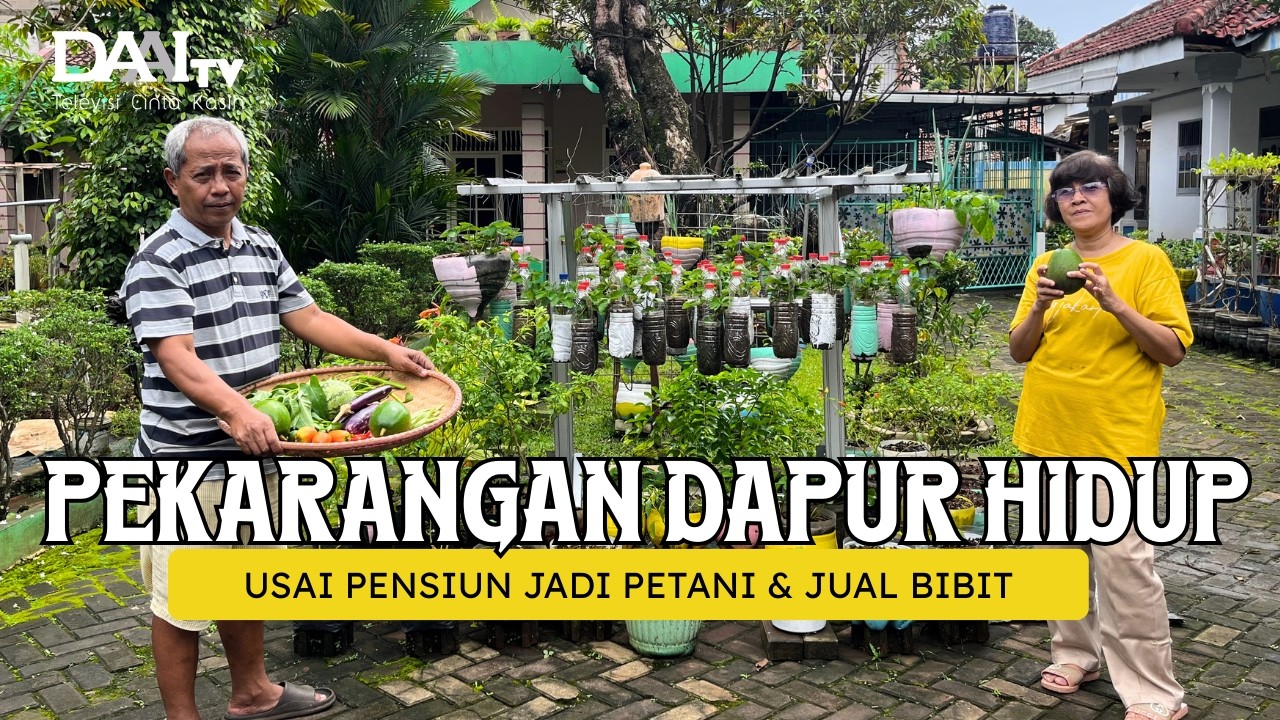 PEKARANGAN DAPUR HIDUP, JUAL BIBIT MULAI DARI 5000