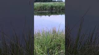 IMG 1917