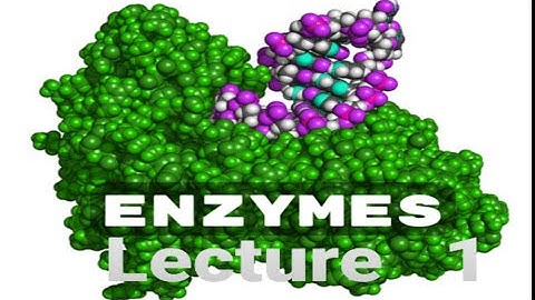 Enzyme lecture 1 /Biochemistry/ MSc /CSIR-NET /NEET /Class 11