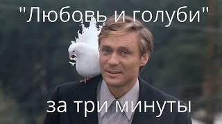 "Любовь и голуби" Пересказ за три минуты. Пародия трейлер спойлер #киносказание "Любовь и голуби" Пересказ за три минуты. Пародия трейлер спойлер #киносказание