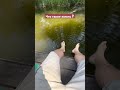 Что такое жизнь ? #blockchain #поселок #ton #криптовалюа