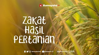 Zakat Hasil Pertanian - Rumaysho TV