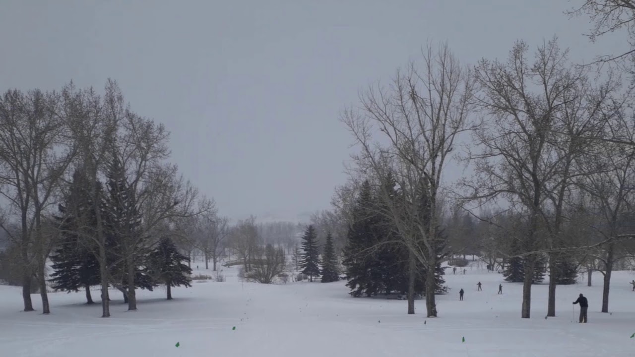 Schneewalzer ("Snow Waltz") by Thomas Koschat