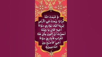 #_سورة المائدة الآية 31 من المصحف الشريف   💐💐💐