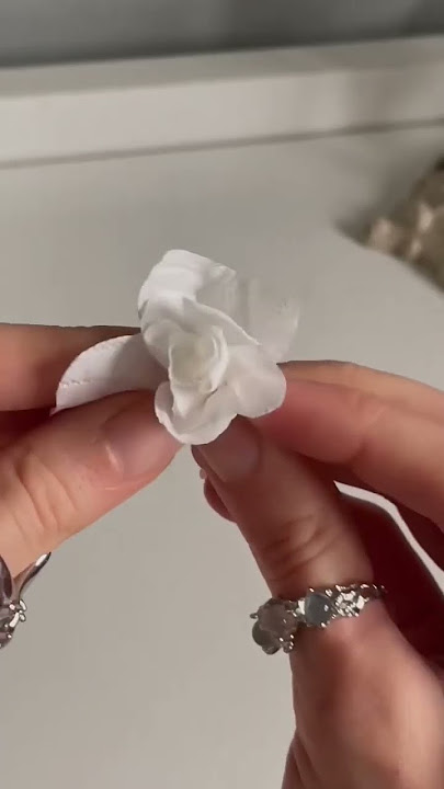 free DIY #DIY #at #home #puppy #flowers #gift #ytshorts