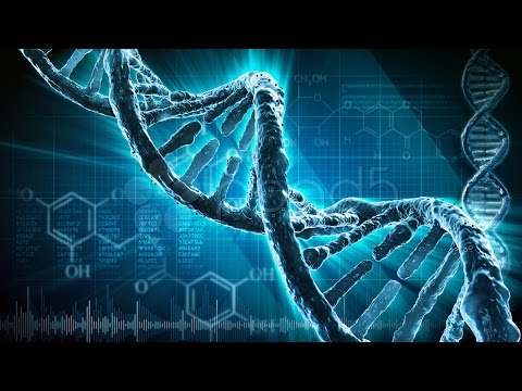DNA (Deoksiribo Nükleik Asit)