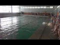 В Тобольске прошло открытое первенство по плаванию