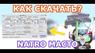 КАК СКАЧАТЬ МАКРОС? НАСТРОЙКА МАКРОСА! BEE SWARM SIMULATOR screenshot 1