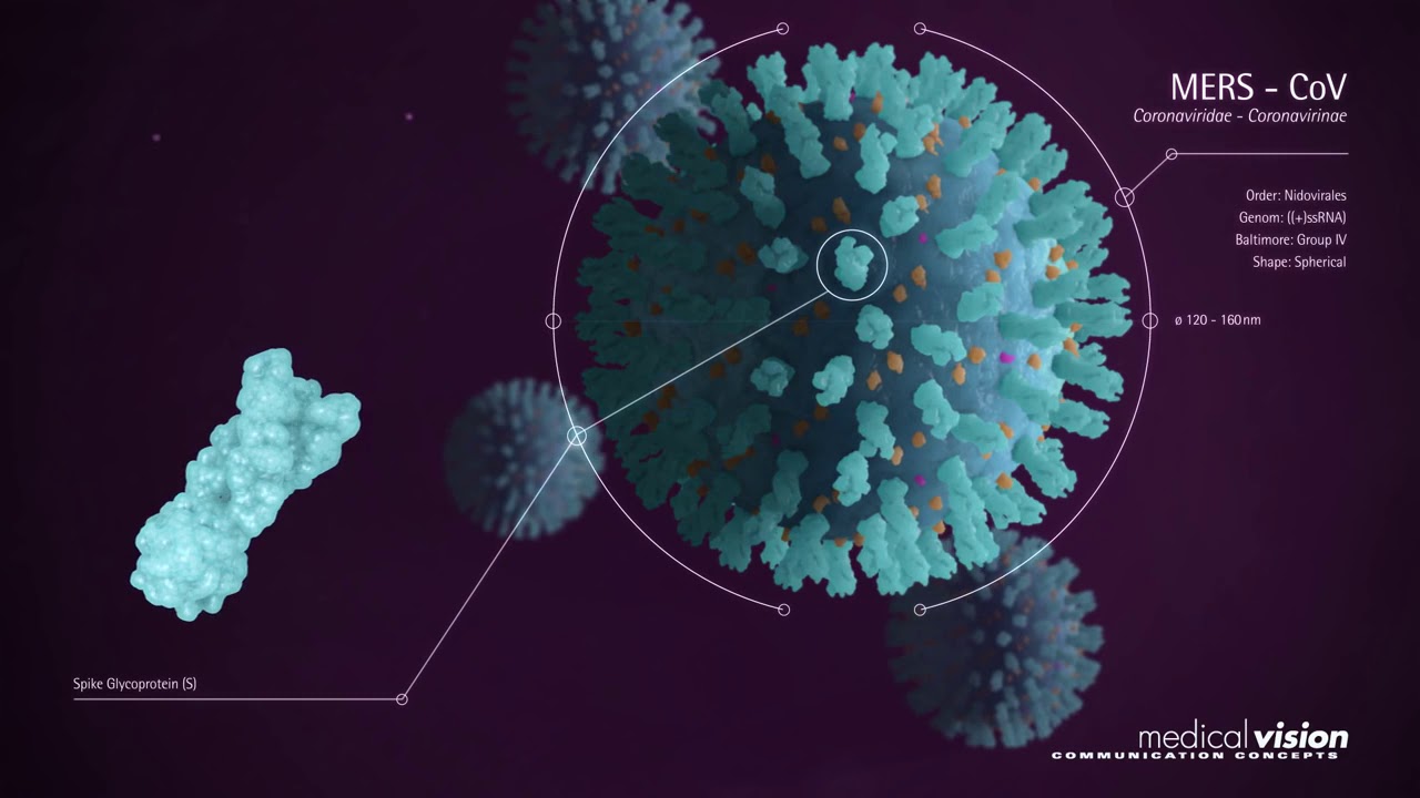 Мир коронавирус 2020 года. Вирус mers-cov. Семейство Coronaviridae. Коронавирус. Семейство Coronaviridae под микроскопом.