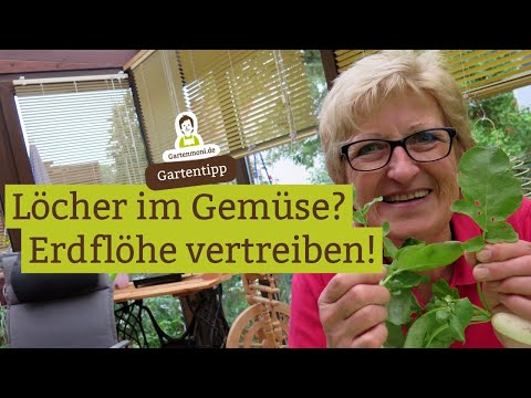 Video: Gemüse Ohne Chemikalien Schützen