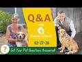 Recurring Skin, Gut & Ear Problems in Pets? Here’s What’s Really Causing Them