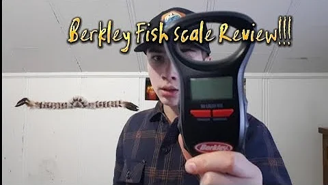 Berkley Fish Scale Review!!!