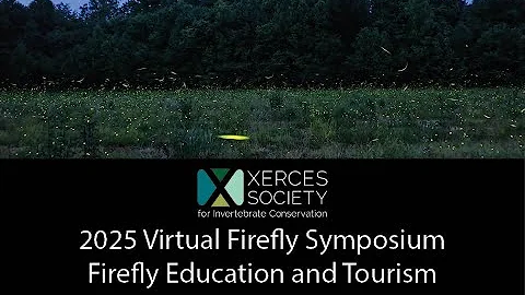 2025 Virtual Firefly Symposium: Firefly Education and Tourism