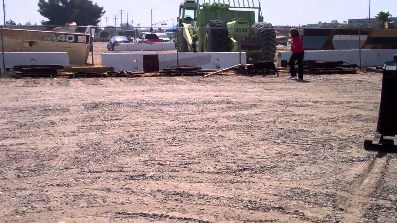 Jasper Exterior Equipment Search YouTube