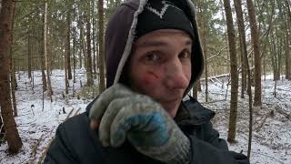 видео: Провёл Ночь в Зимнем лесу картинка: Провёл Ночь в Зимнем лесу