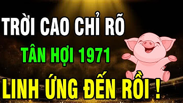 Tân Hợi 1971–Cuộc đời khổ vì có căn Trả Nghiệp, nhưng Hậu vận là Đại phúc nếu biết sớm 7 điều này