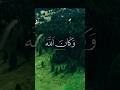 إنما التوبة على الله للذين يعملون السوء بجهالة ثم يتوبون من قريب قرآن قرآن كريم
