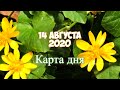 14 АВГУСТА 2020 КАРТА ДНЯ. Таро - прогноз на день