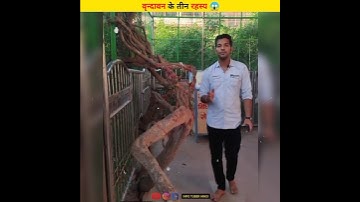 वृन्दावन के 3 रहस्य 😱 | श्री कृष्ण आज भी आते हैं वृन्दावन | #shortsvideo #shorts #krishna