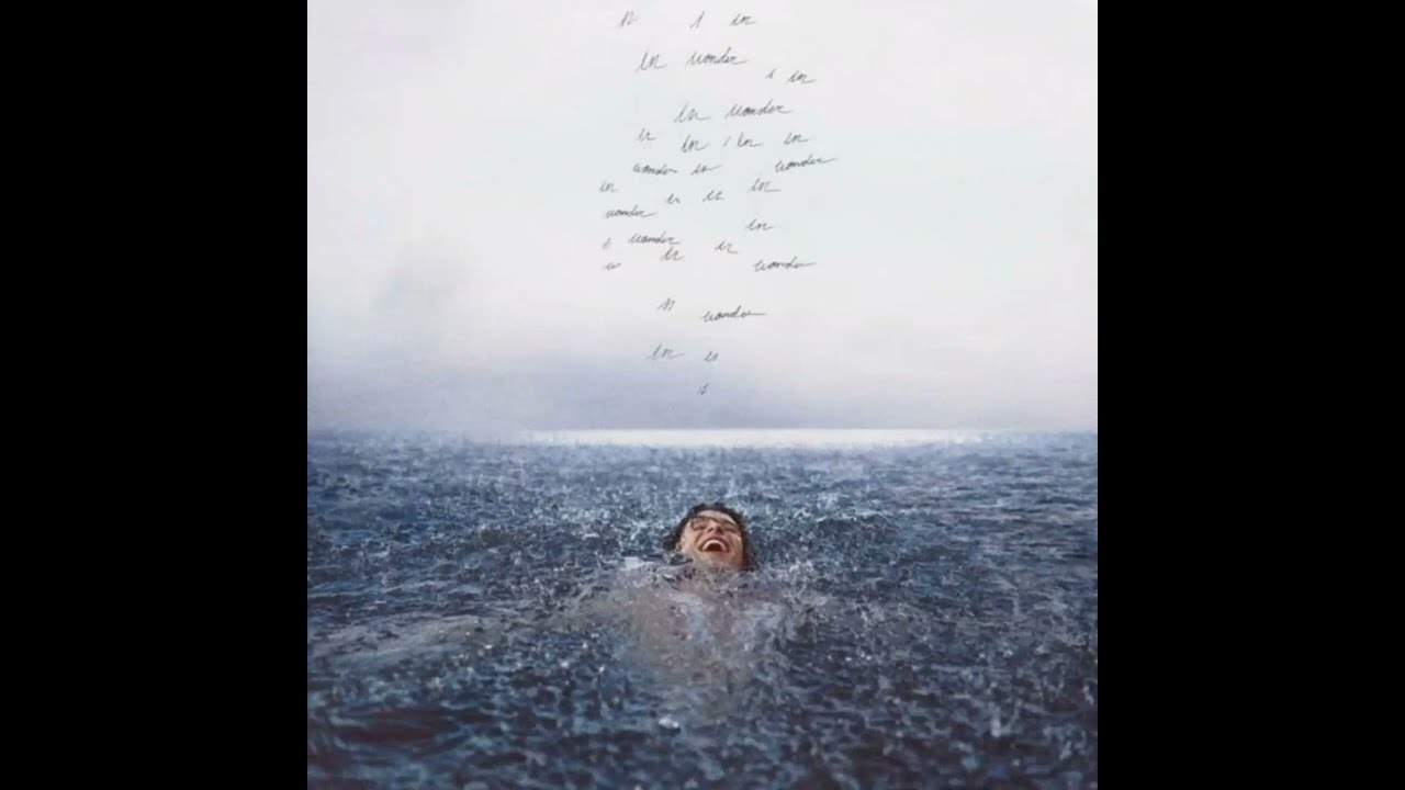 Shawn Mendes - Wonder (Instrumental)