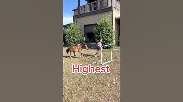 Thumbnail of Miniature horse jumping high