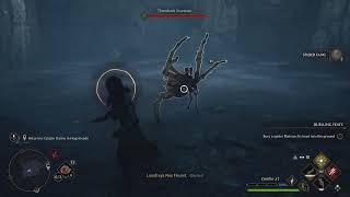 Hogwarts Legacy - The Insatiable Spider screenshot 4