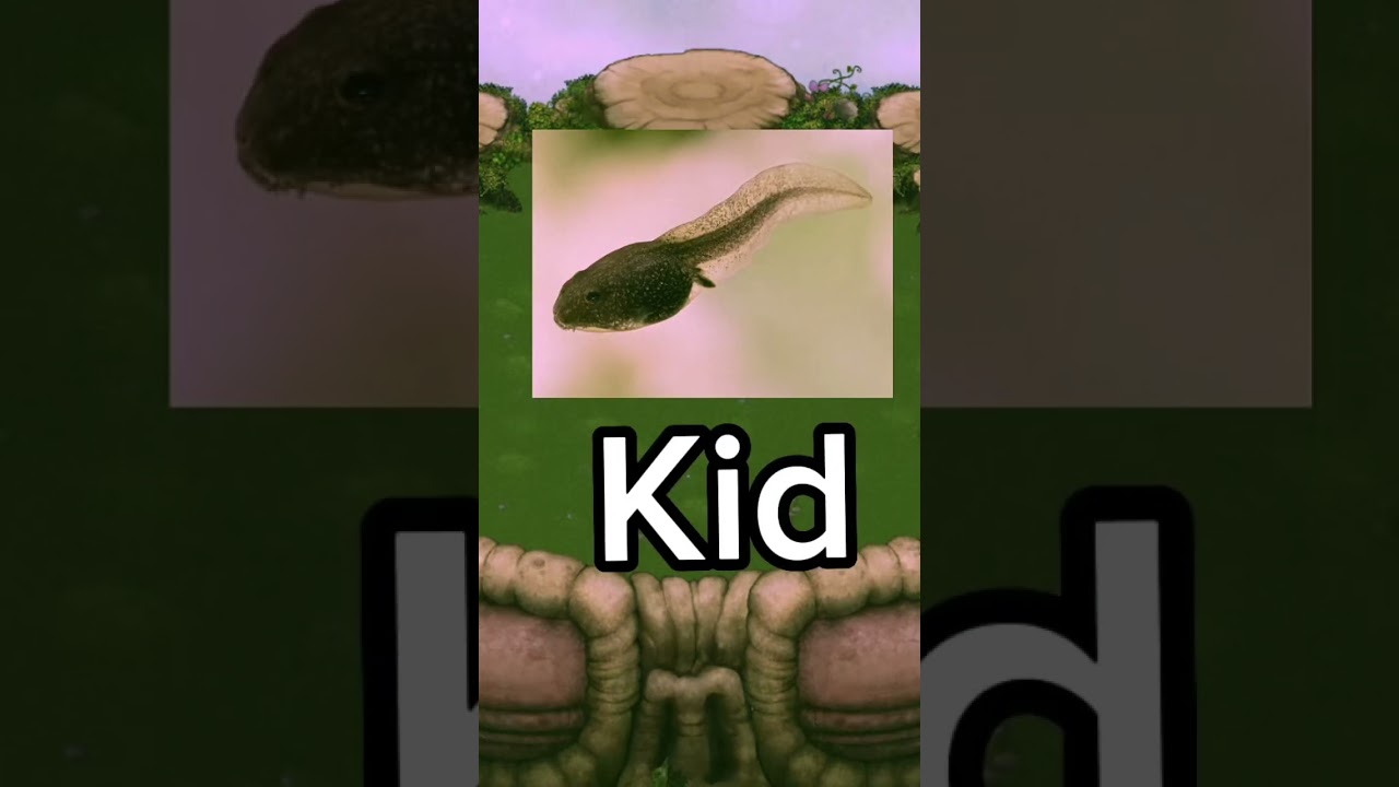 Fwog Throughout The Years! 