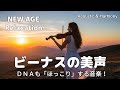 【最高音質】DNAも「ほっこり」する音楽!/癒し/リラックス/作業用/洋楽/Cozy music/Chill #癒し #リラックス #女性ボーカル