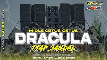 DJ DRACULA COCOK BUAT CEK SOUND || ALEX REVOLUTION AND USB TEAM.
