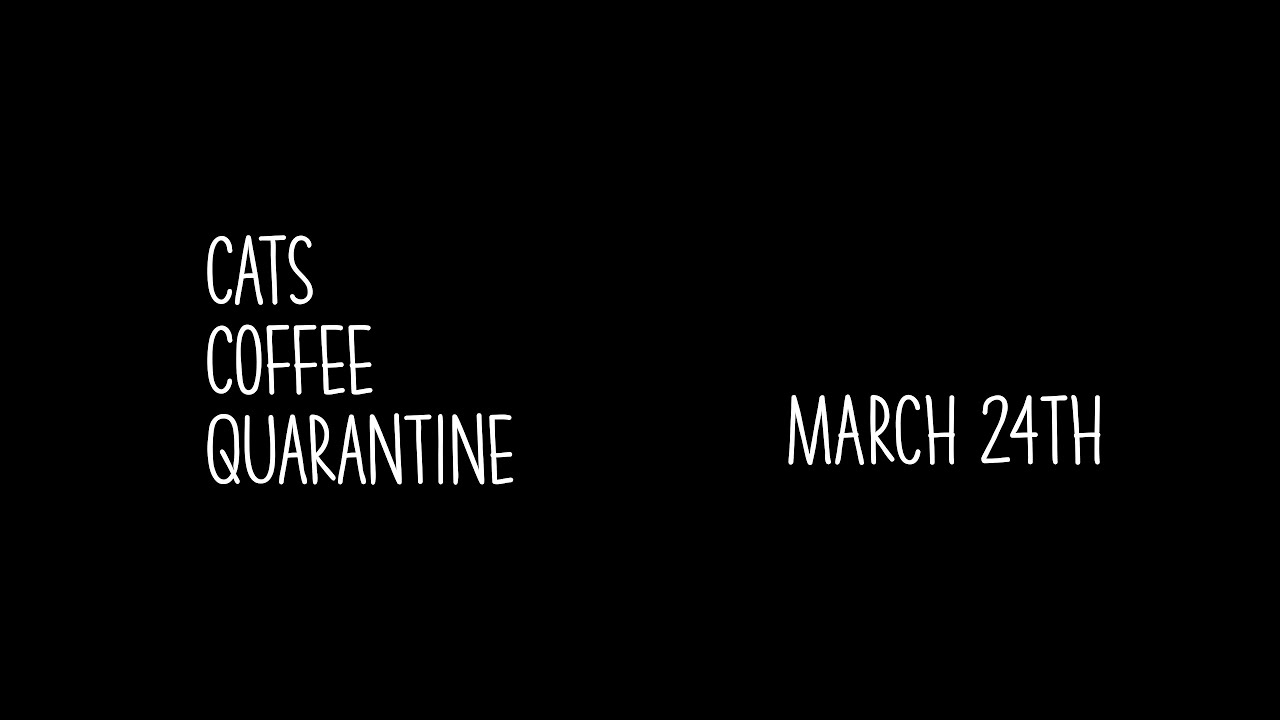 Cats Coffee Quarantine EP 001 YouTube