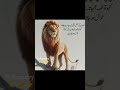 #lion #like #livestream #emotional #poetry #quotes #sadpoetry #deep #love