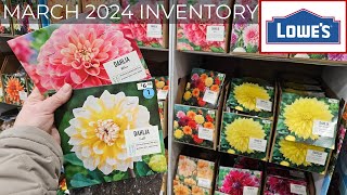 Lowes Inventory March 2024. Spring is Here! Flowering Shrubs, Evergreens, & Summer Bulbs! 🌸🌱