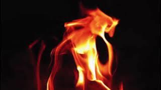 Distrust The System [The Soundlings]