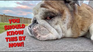 Reuben the Bulldog: Tell You What I Want