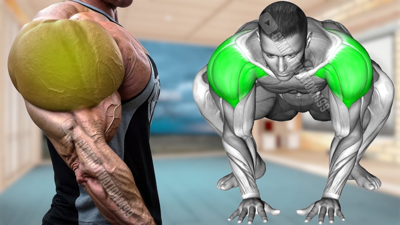 Shoulder Day: Best Effective 3D Shoulder Exercises - YouTube