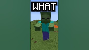 Minecraft, But YOU Control Me...