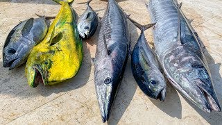 Tuna, Dolphin, Wahoo- Catch Clean Cook-  EPIC Kung Pao Wahoo Recipe!