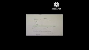 Microsoft word answer naan mudhalvan online course