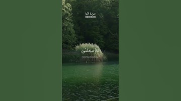 #سورة_النبأ للقارئ عبدالرحمن مسعد #quran